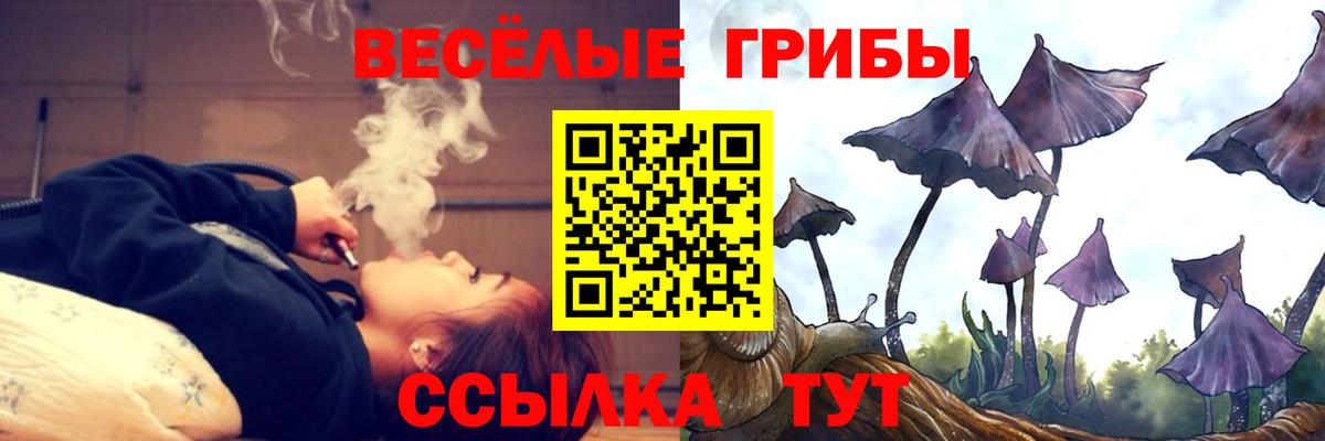 Галлюциногенные грибы GOLDEN TEACHER  Вход с VPN  Алапаевск 